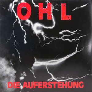Die rote Flagge cover