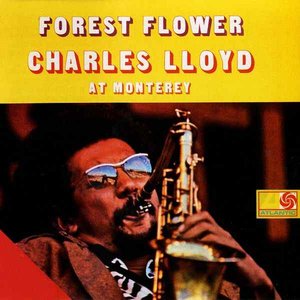Image pour 'Forest Flower: Live in Monterey'