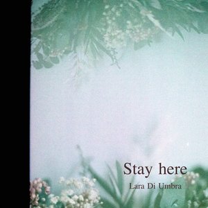 Stay here