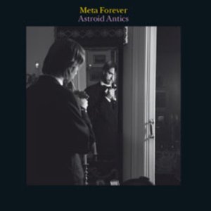 Meta Forever 的头像
