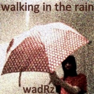 Image for 'Walking in the Rain'