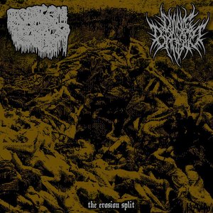 The Erosion Split - Single