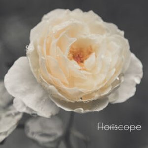 Avatar für Floriscope