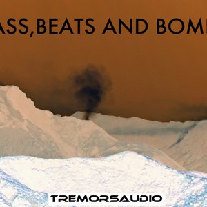 “Bass, Beats and Bombs”的封面