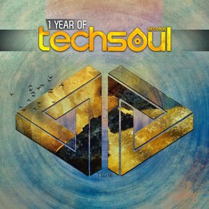 1 Year of Techsoul
