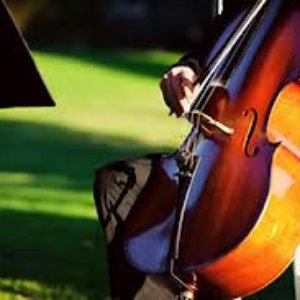 Cello Music Songs のアバター