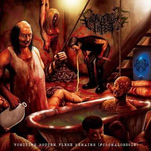 Vomiting Rotten Flesh Remains