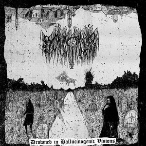 Drowned In Hallucinogenic Visions