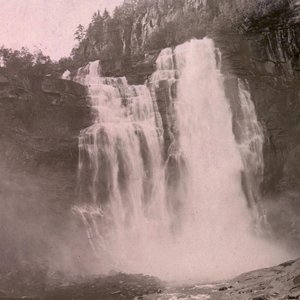 Siren Bay - Single