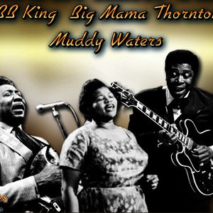BB King - Big Mama Thornton - Muddy Waters 的头像