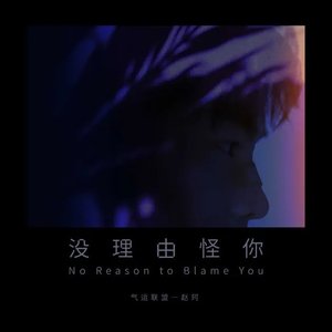 沒理由怪你