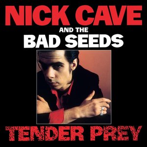 'Tender Prey (2010 Remastered Version)'の画像