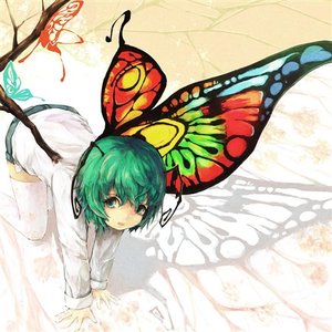 リトルライムライト