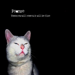 Poomse 的头像
