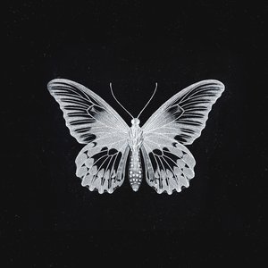 Monarch