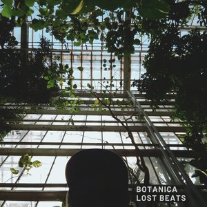 Lost Beats