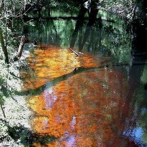 Black Water (E)