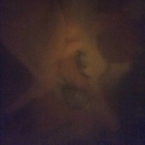 dwst 的头像