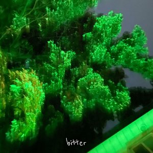 bitter