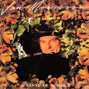 A Sense of Wonder (Bonus Track Version)