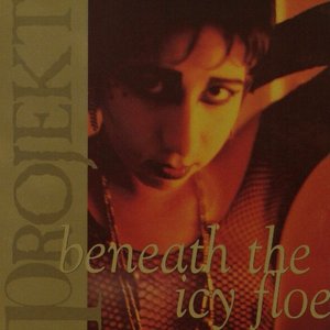 V/A Beneath The Icy Floe - A Projekt Sampler