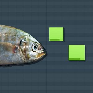 how to BASS