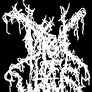 Diet of Worms 的头像