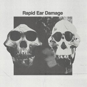 Аватар для Rapid Ear Damage