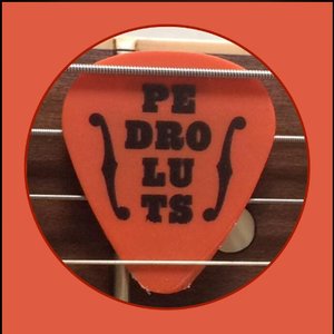 Pedroluts 的头像