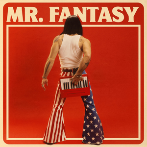 Artwork for Mr. Fantasy