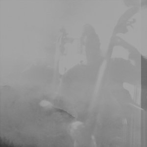 Avatar for Groborsch, Kowald, Schneider