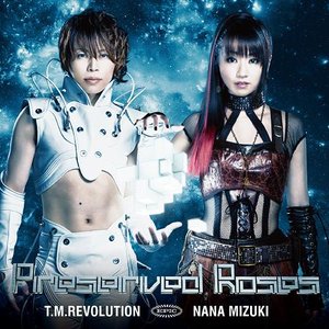 Preserved Roses - Single