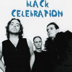 Black Celebration 的头像