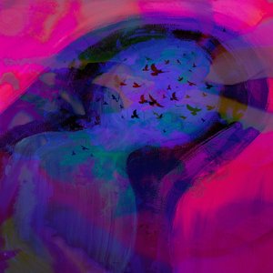 Bird out the Window - Single