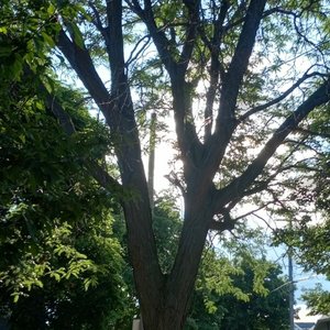 enjoy it while it lasts