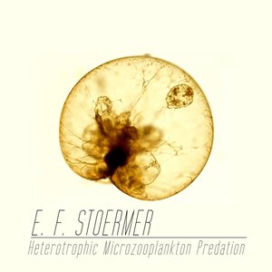 Heterotrophic Microzooplankton Predation