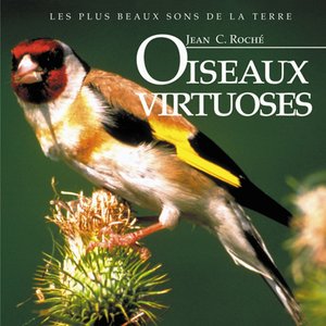 'Oiseaux virtuoses' için resim