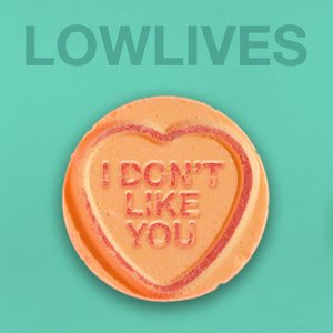 I Don't Like You - Single