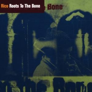 “Roots To The Bone”的封面