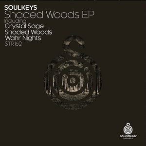 Shaded Woods