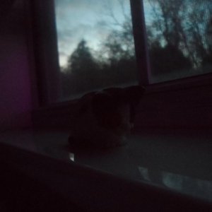 I Really Like Being Close To You - Single