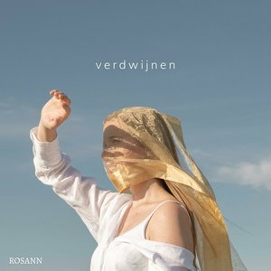 Verdwijnen