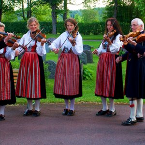 'Dalarnas Spelmansförbund' için resim