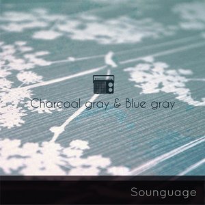Charcoal Gray & Blue Gray