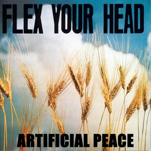 Flex Your Head