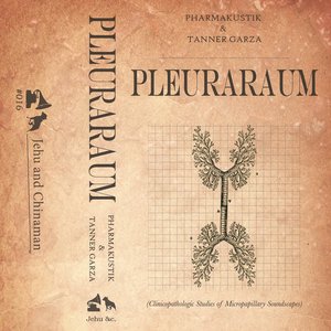 Pleuraraum