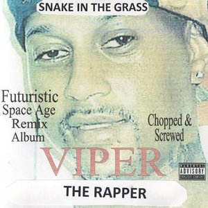 Snake In The Grass