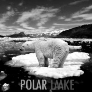Polar Laake 的头像