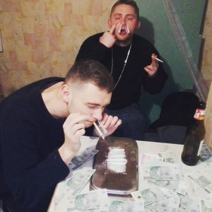 2np 的头像