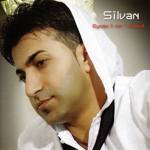 Image for 'Sîlvan'